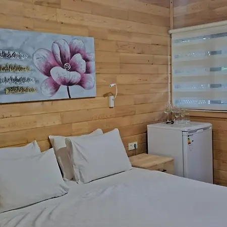 Baraka House Pensionat 2*