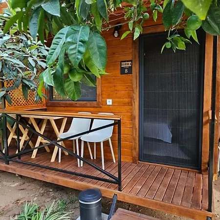 Pensionat Baraka House