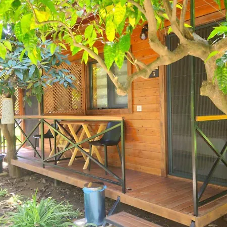 Baraka House Gæstehus Çıralı