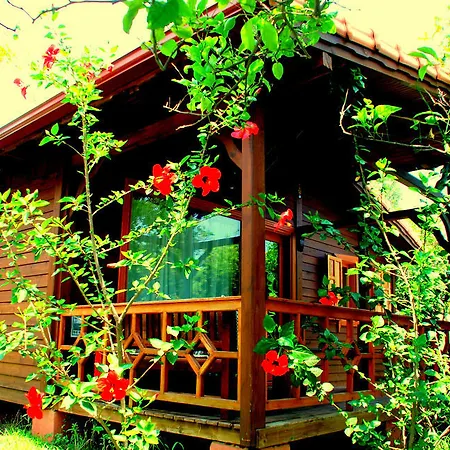 Baraka House Pensionat 2*