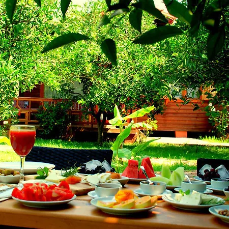 Baraka House Çıralı