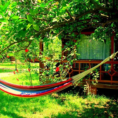 Pensionat Baraka House Çıralı