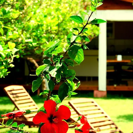Pensionat Baraka House 2*