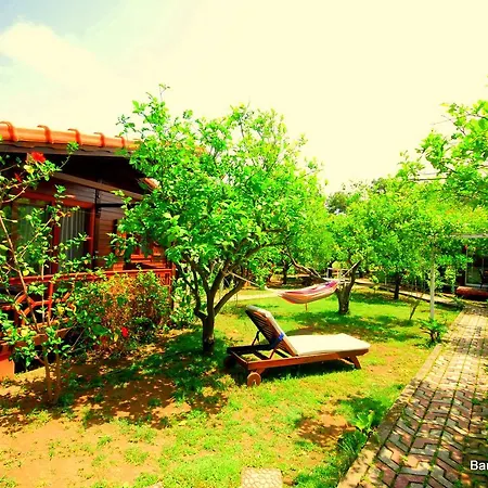 Baraka House Çıralı