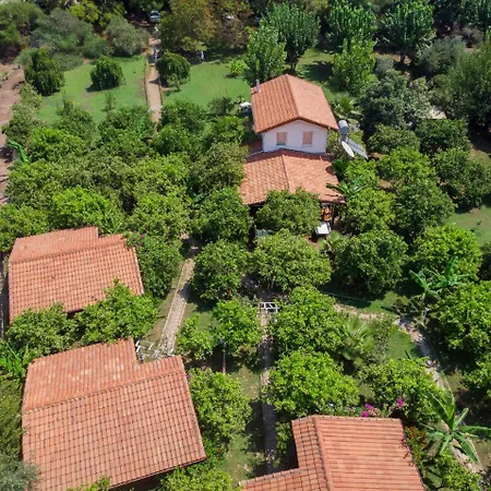 Gæstehus Baraka House Çıralı