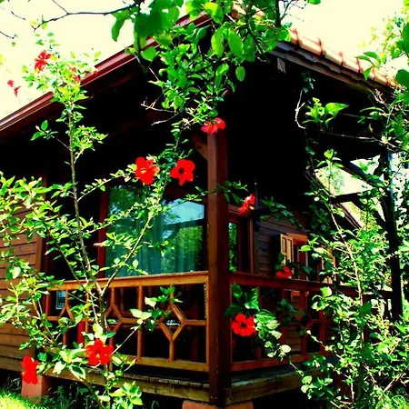 Gasthuis Baraka House