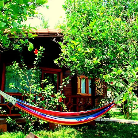Gasthuis Baraka House Çıralı
