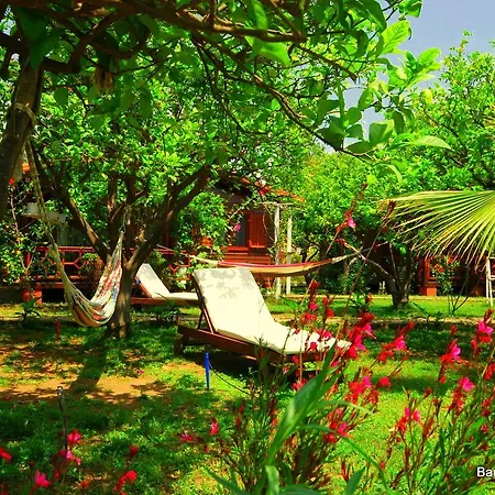Baraka House Gasthuis Çıralı